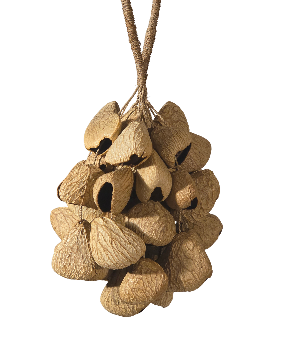 Kenari Seed Shell Shakers